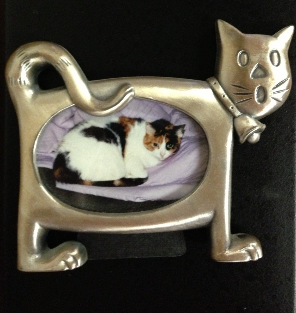 trinkyswinky's tweet photo. https://t.co/XSWgTAQ8sh