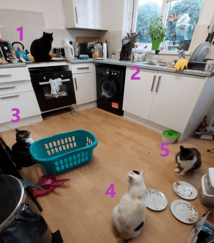 thumai168's tweet photo. Just caught my cat mid-zoomies on the freshly mopped kitchen floor—thankfully I left the window open for air, not chaos! https://t.co/VKIVSS0t43