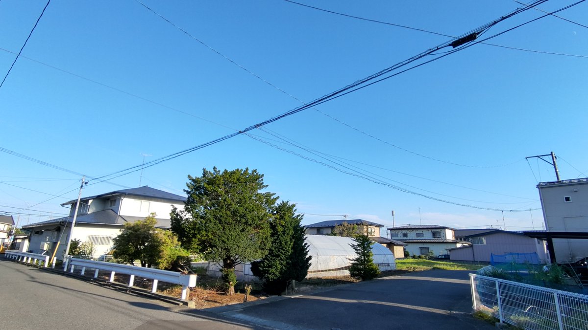 awashimas's tweet photo. こんばんは、今日は久しぶりの散歩でした。午前中は曇りでした昼前から青空が広がって暑くなりました。 https://t.co/mTaV5cASQp