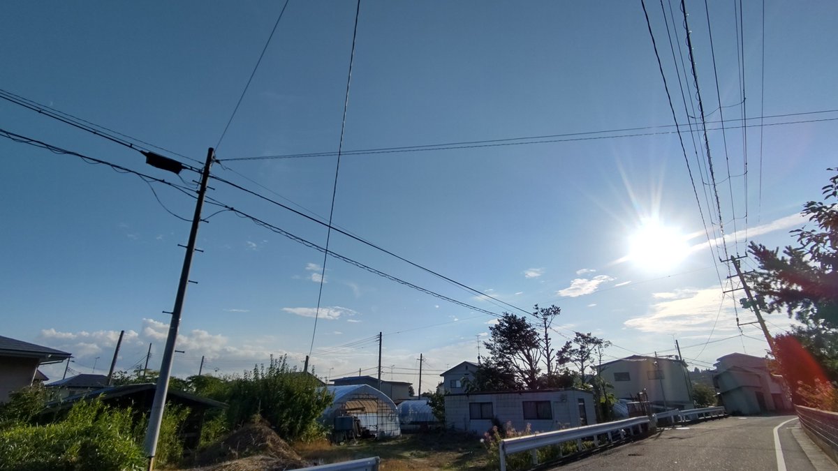awashimas's tweet photo. こんばんは、今日は久しぶりの散歩でした。午前中は曇りでした昼前から青空が広がって暑くなりました。 https://t.co/mTaV5cASQp