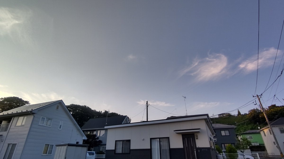 awashimas's tweet photo. こんばんは、今日は久しぶりの散歩でした。午前中は曇りでした昼前から青空が広がって暑くなりました。 https://t.co/mTaV5cASQp