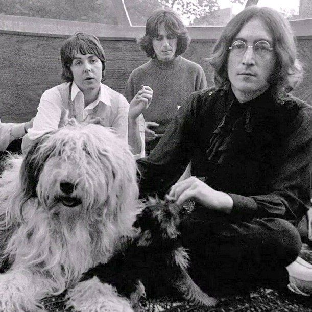 BeatlesEarth's tweet photo. Martha, my dear
You have always been my inspiration
Please, be good to me https://t.co/hSAaJ3cr72