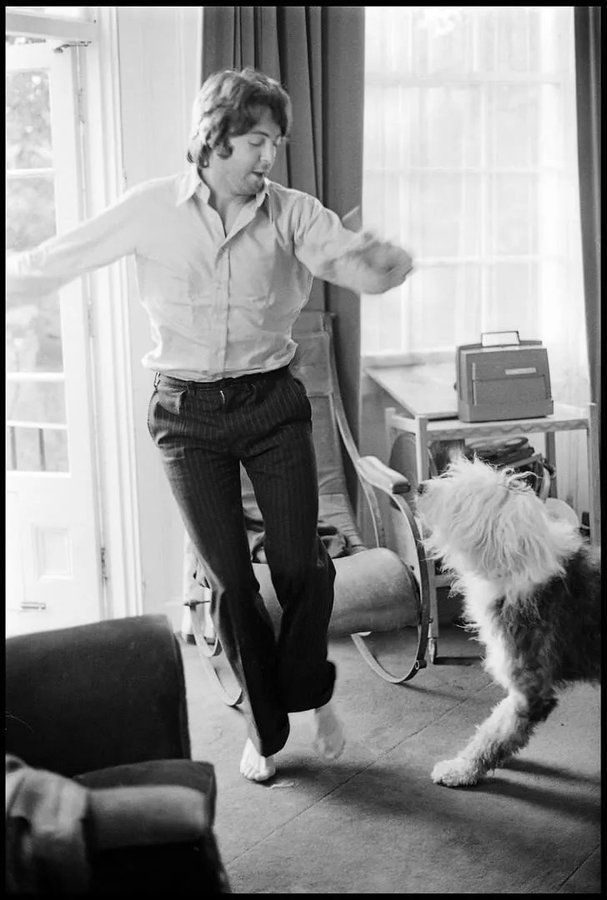 BeatlesEarth's tweet photo. Martha, my dear
You have always been my inspiration
Please, be good to me https://t.co/hSAaJ3cr72