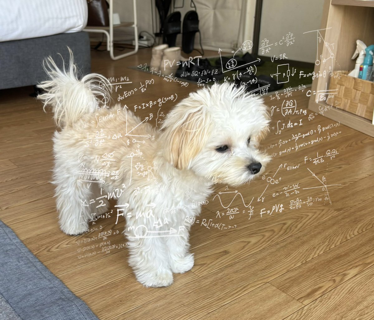 potato_maltipoo's tweet photo. どうすればパパの出張について行けるか
ガリレオしてた時のぽてと https://t.co/XKj8ZXuUAC