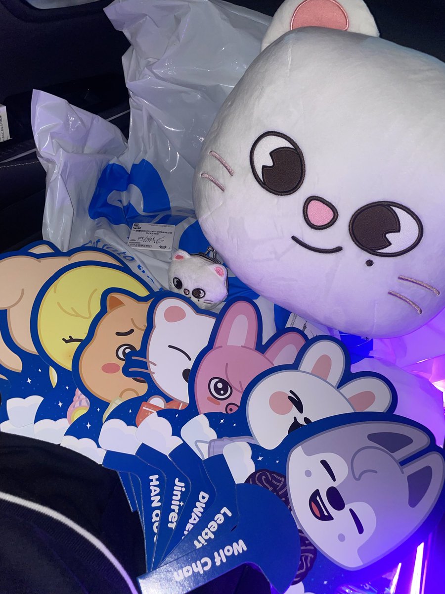 yu_skz_'s tweet photo. かわいい(*´﹀`*)♡
店員さんがうちわコンプできてますか？って来てない子たちもくれてコンプできた😽💗 https://t.co/iafWD2rOR1
