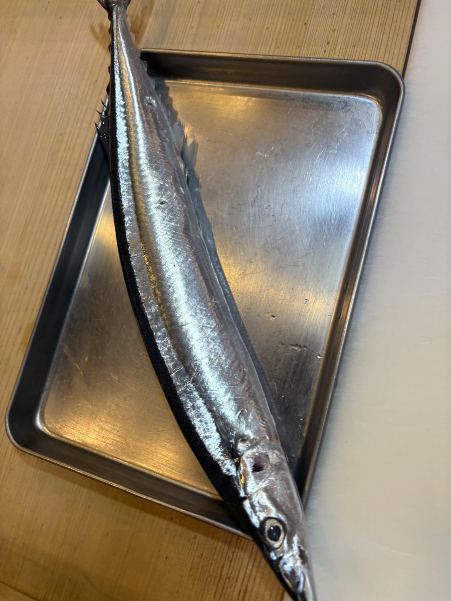 TemaeItamae's tweet photo. 本日の魚たち

新さんま
あおり��か
しまあじ

です。
さんまは高すぎて、ご予約分しか買ってきていませんが、太いですねー。

#料理屋幸森 #品川区グルメ #大井町グルメ #さんま #アオリイカ https://t.co/cI1i3BM8kb