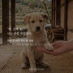 Photo by 사미 (@dang___som)