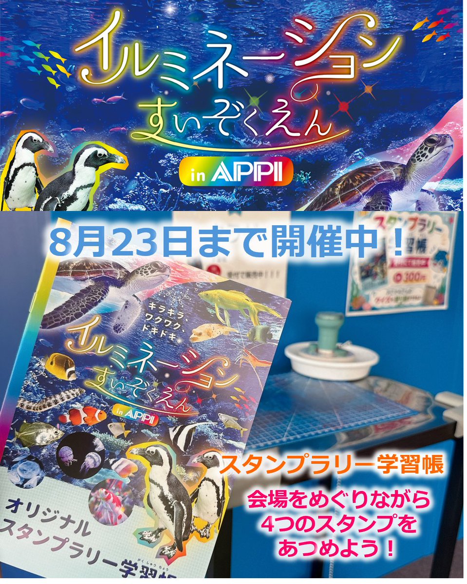 TVI_ibento's tweet photo. ＼【イルミネーションすいぞくえん in APPI】8月23日まで／
10:00～17:00営業中！屋内なので安心☔

🐧本物のケープペンギンやウミガメに会える！
 📖スタンプラリー学習帳はスタンプ＋クイズやぬりえ
 🔮水みくじは「大吉」でガチャガチャ1回プレゼント
お待ちしています🎶
 https://t.co/YXNpWMDyGD https://t.co/64A6fUAfwQ