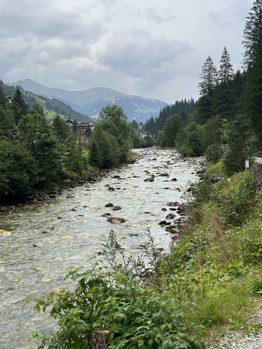 hippopotamous1's tweet photo. hike to a mountain hut 
see some cows
eat apple strudel
repeat https://t.co/OyzQXMGzgl