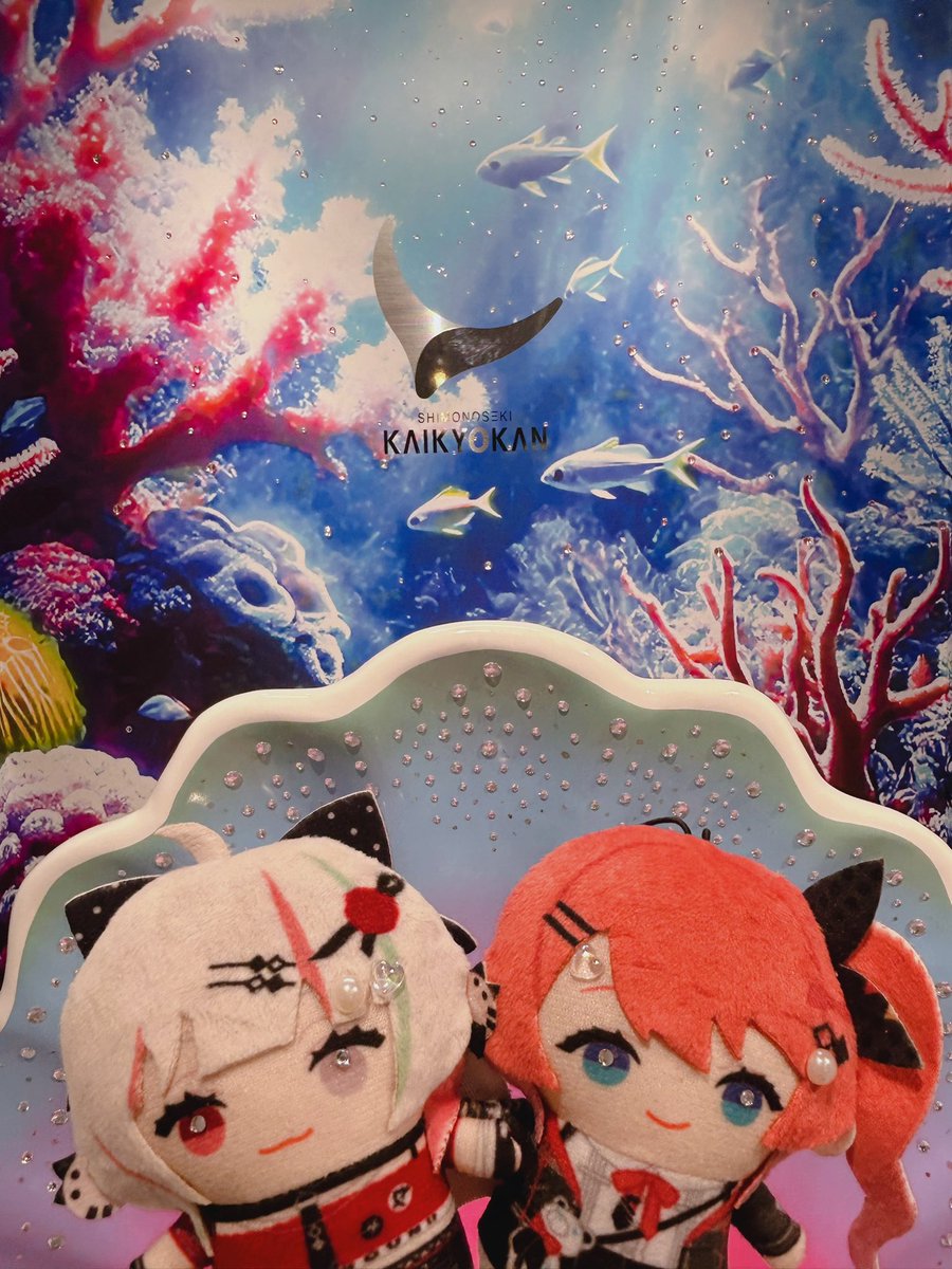 maple635's tweet photo. 水族館に行ってきたよ🐬🐟🐠
#石神のぞいて 
#めると見ルネ https://t.co/EmaVuaPl9r