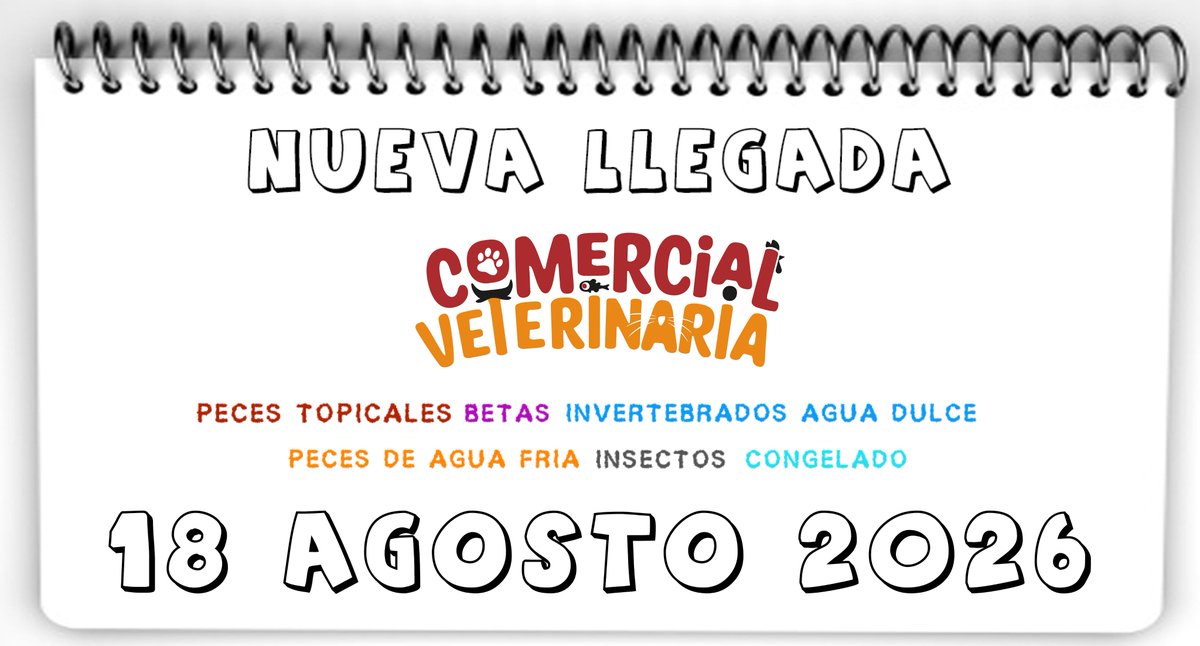 ComercialVeteri's tweet photo. --NUEVA LLEGADA 18 de agosto 2026 --

Peces tropicales, betas, invertebrados de agua dulce, peces de agua fría, grillos y congelado

LISTADO: https://t.co/B7c41ws2Yc https://t.co/TOry8cOx5r