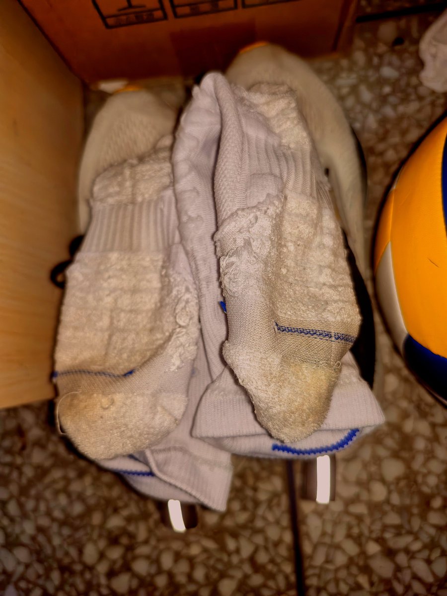 Goonsb888's tweet photo. 又有多少无脑恶堕的装逼臭婊子们看到了会躲在屏幕后面疯狂意淫呢。别装了臭婊子们，怕是看到了10秒钟就对着臭袜子翻着白眼吐着舌头供出自己的傻逼狗精了吧哈哈哈哈一群废物。 #恶堕  #伪s #伪主 #无脑傻逼 #gooner https://t.co/D5vJkCC5UL