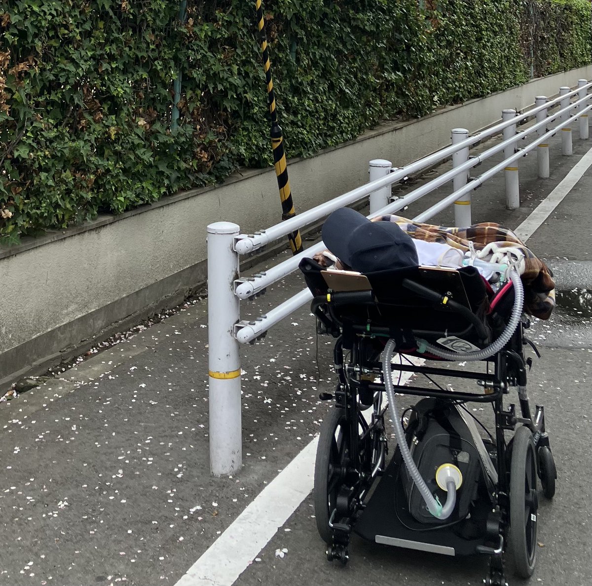 meriodasu_3618's tweet photo. 進行する病気が怖くないのかと時々聞かれる。

そりゃ怖いですよ。
怖くないなんて強がりは言えない。

でも今に向き合わず
何もしない方がよほど後悔するし怖い。

僕は未来の自分に胸を張っていたいだけ。

あの時あれだけ動いたから
ま、いっか。っていつか笑いたいだけ。 https://t.co/T6irRqGM6r