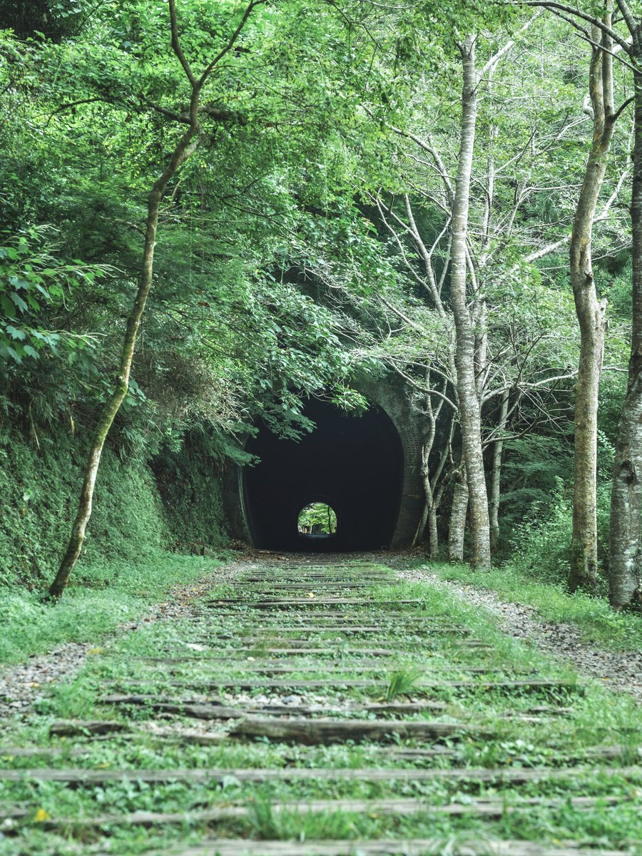 3m1ek's tweet photo. ジブリのような廃線路の風景 https://t.co/FTSELwpDHu