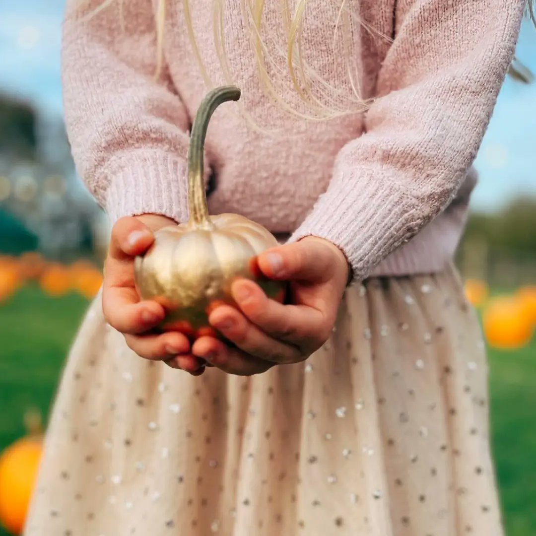 PennywellFarm's tweet photo. The Pennywell Pumpkin Festival also means the return of one VERY shiny, VERY golden pumpkin… 🎃✨

Who will find it this year? 👀

🎟️Book your tickets and join the hunt👉https://t.co/tJFV3v7WuM

#pennywell #devon #pumpkins https://t.co/XaRaEs2iH7