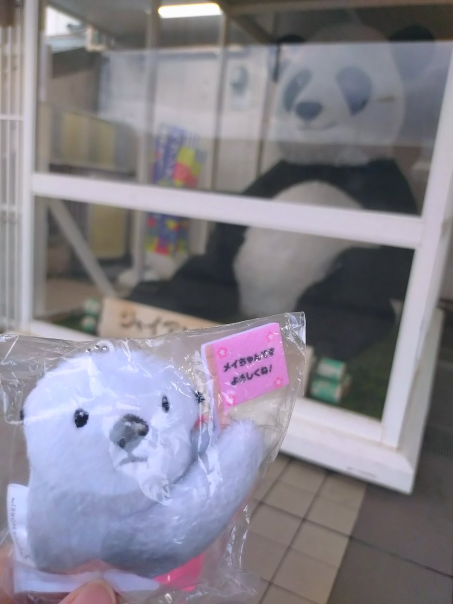 YASOU_A's tweet photo. 上野に行く予定があったのでフェリシモのお店で旗持ちメイちゃんゲット🦦🚩
ラッコグッズ全部欲しかったけど予算的にこの子だけお迎えしました😅 https://t.co/WVfMCnp5yb