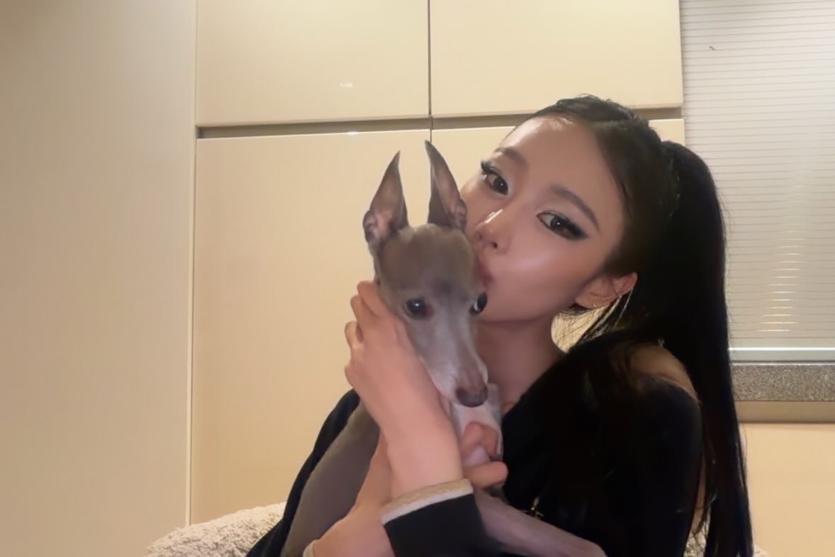 aeriminded's tweet photo. 260818 #GISELLE (aerichandesu) Instagram Update https://t.co/RotqsExKF4