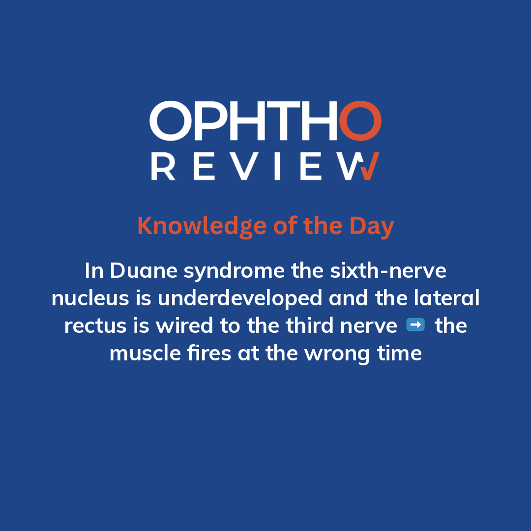 ophthoreview's tweet photo. You're examining a young child

#ophthoreview #ophthalmology #ophtho #ophthalmologyresidency #ophthalmologist #surgicaleducation #medicaleducation #meded #surgery #medicalstudent #medicine #medicalschool #resident #residency https://t.co/pah7xy4LYr