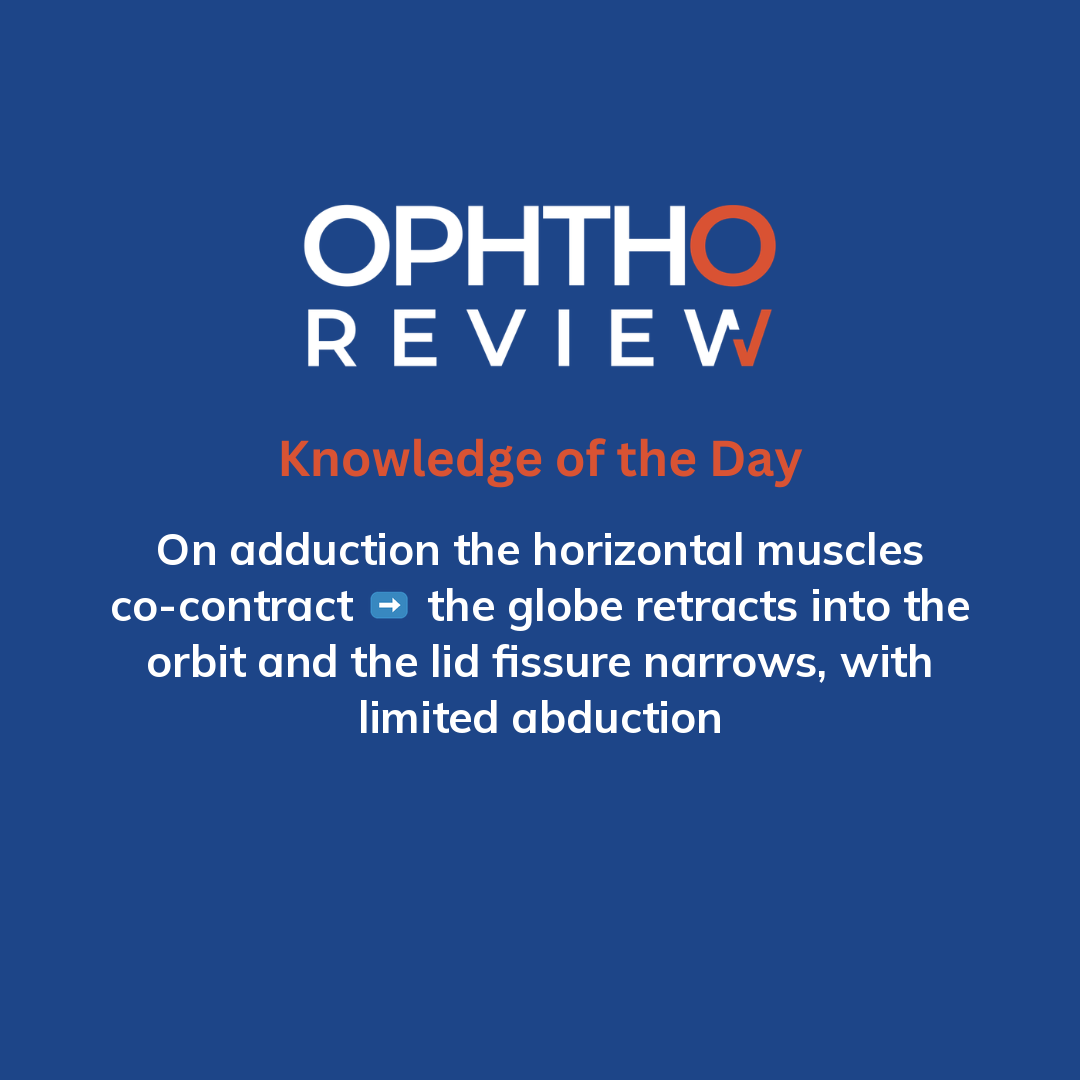 ophthoreview's tweet photo. You're examining a young child

#ophthoreview #ophthalmology #ophtho #ophthalmologyresidency #ophthalmologist #surgicaleducation #medicaleducation #meded #surgery #medicalstudent #medicine #medicalschool #resident #residency https://t.co/pah7xy4LYr