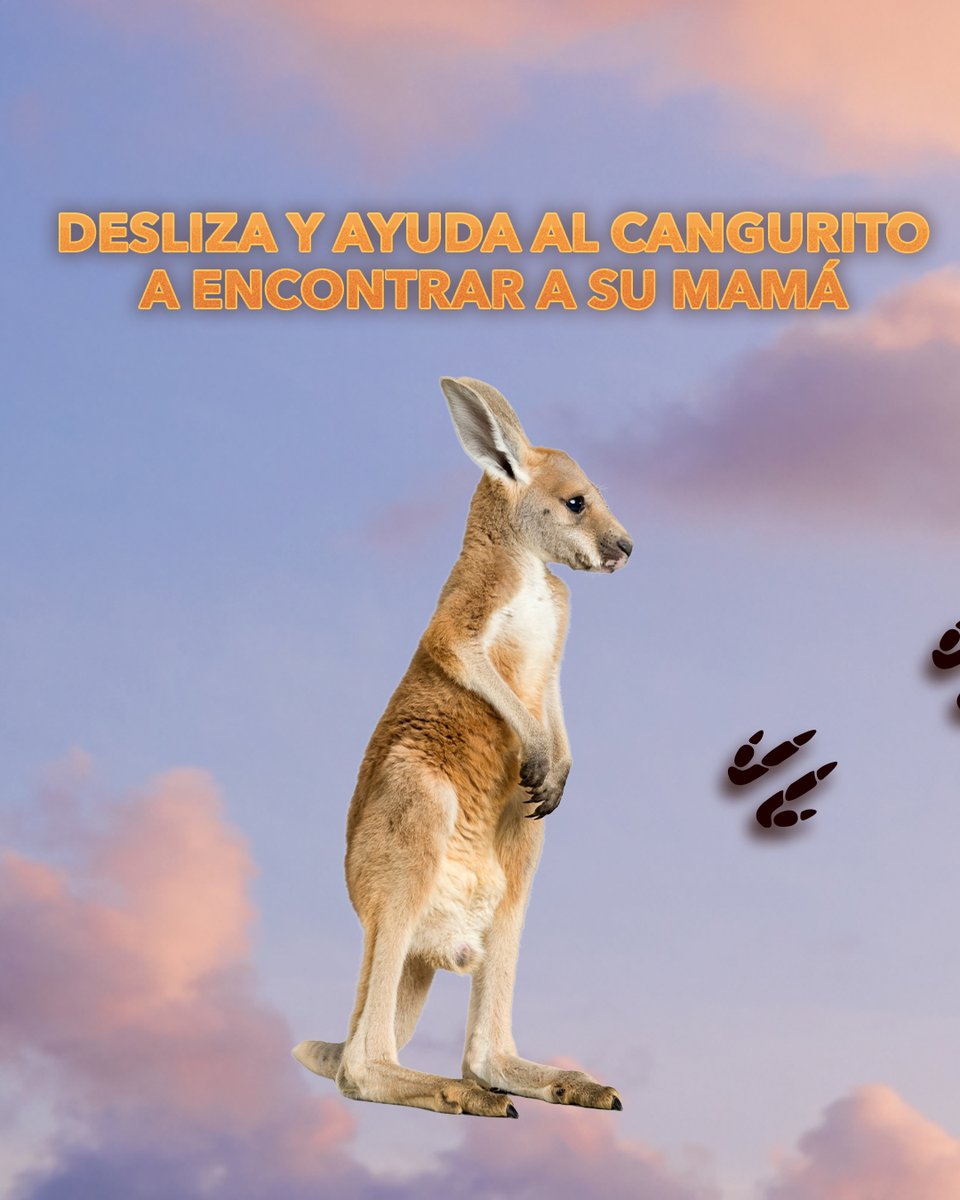 Vertice360's tweet photo. ¡Necesitamos tu ayuda! 🦘✨

Este pequeño canguro busca a su mamá… Desliza hasta encontrar el camino correcto y consigue reunirlos.

🍿 #KangarooLaPelícula, ya en cines. https://t.co/y95bP1rm68