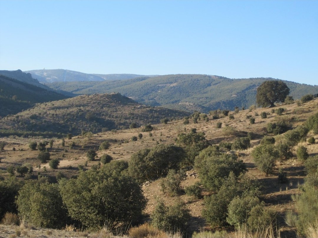 pkas1111's tweet photo. España tiende al desierto por su vulnerabilidad a la desertificación

3/4 partes de nuestro territorio es árido, semiárido o subhúmedo seco, y la aridez aumenta

Cuidar el suelo, evita que nos invada el desierto. Encina, coscoja, alcornoque, rebollo, roble, quejigo y arbustivas https://t.co/xrPILZYhq4