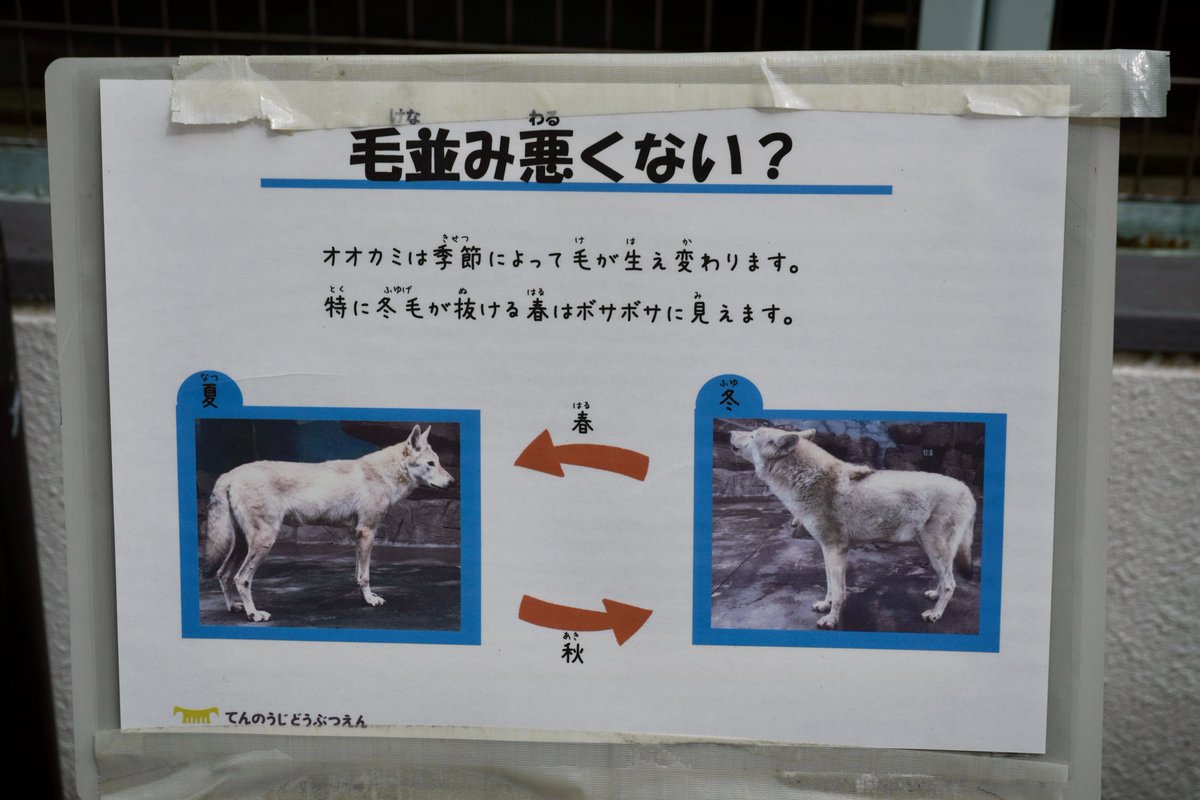 sagyouatama's tweet photo. #天王寺動物園 最高の展示 https://t.co/NTxTqARFmh