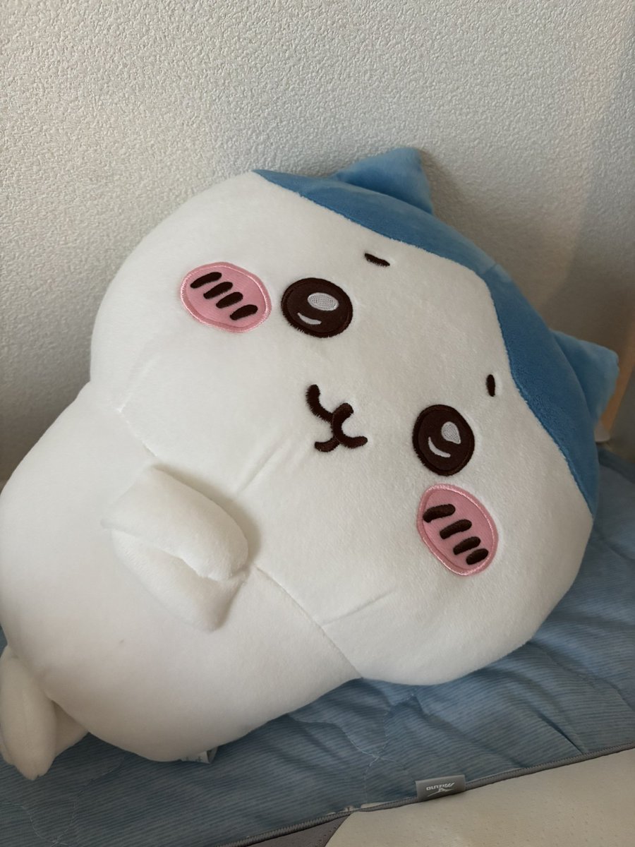 pinqlulun's tweet photo. 友だちがくれたこのハチワレともう2年以上一緒に寝ているのに最近になってやっとこれはうさぎじゃん！？と気づいた https://t.co/JRbgS4IHrS