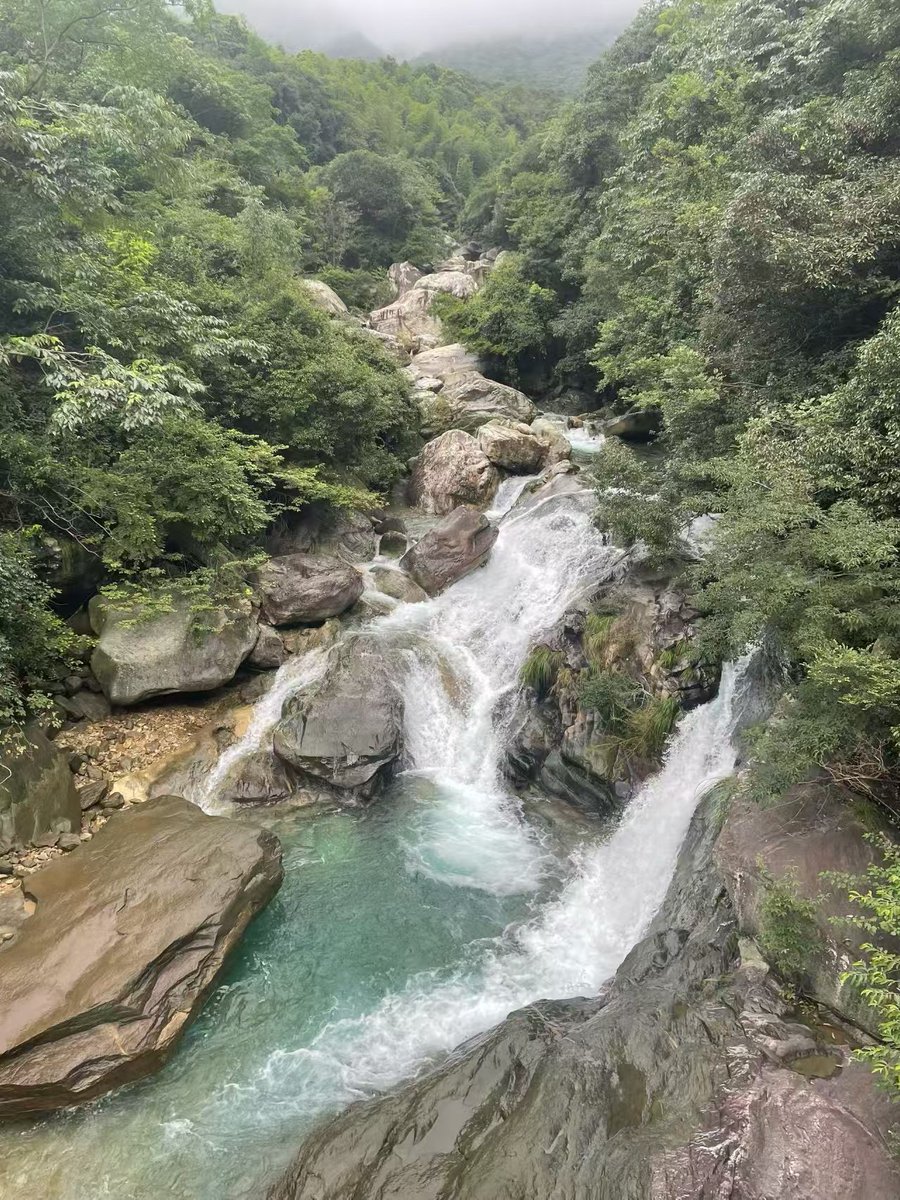 47648427qqcom's tweet photo. 庐山三叠泉飞瀑分三重奔涌而下，山风裹挟水雾扑面而来，是藏在山林里的清凉秘境🌿。 https://t.co/qe1YNHorhh