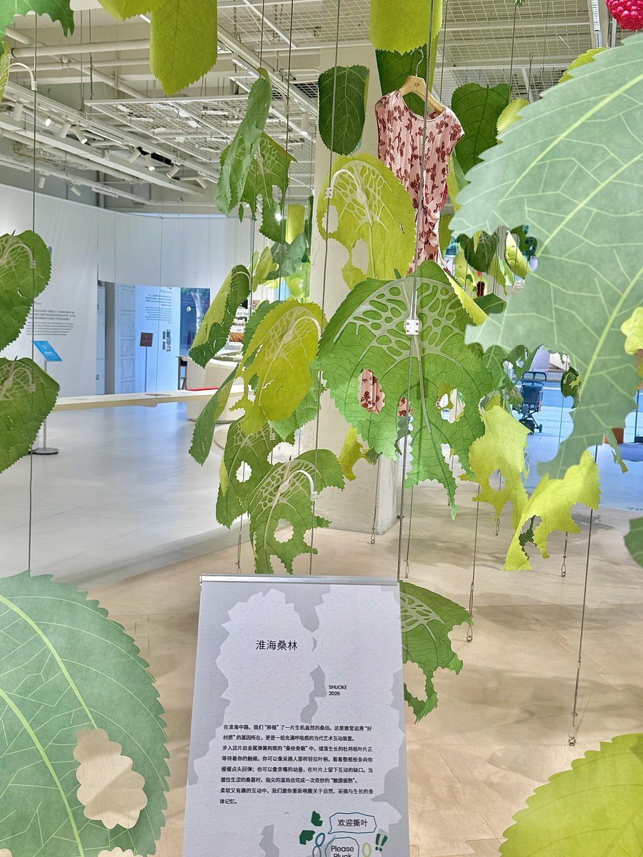 weidaowu's tweet photo. Amid the hustle of Huaihai Middle Road, a healing new exhibition quietly opens — a mulberry forest oasis in the heart of the city. 🌿
#healing #exhibition #shanghai #green https://t.co/dpYdeSeyFF