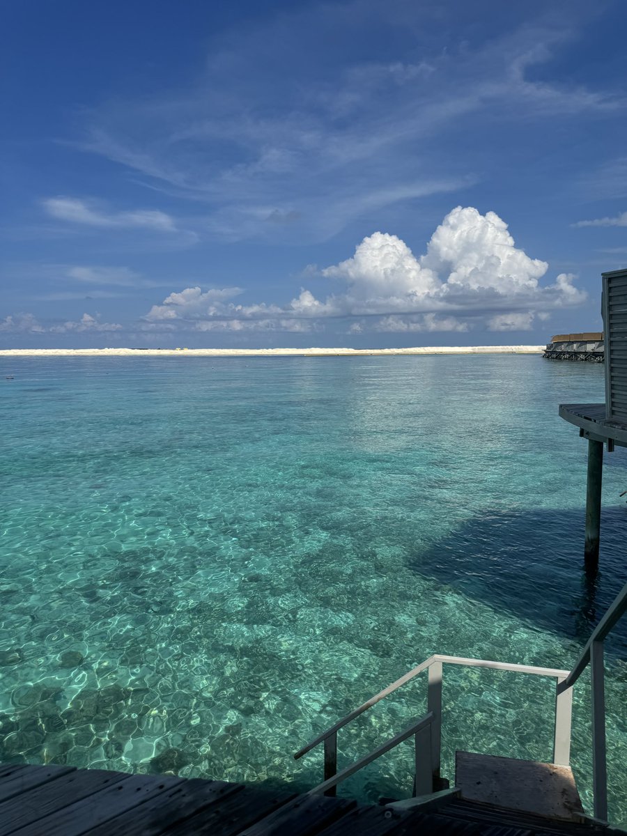almondcanoo's tweet photo. 🌊 มัลดีฟ (Maldive) : 45,000 ฿ ✨
• ตั๋ว(15,000)
• เรือไป-กลับ : สนบ-ที่พัก
• ที่พัก 4วัน3คืน (ห้อง water villa)
• อาหารวันละ 3 มื้อ + เครื่องดื่มไม่อั้น 🥂(แอล/นอนแอล เมาทั้งวันแต่เช้า บอกเลย)

คือไปมัลดีฟ ไม่แพงอย่างที่คิด คือกำเงินเท่านี้ไปคือจบเลย มีครบอาการเครื่องดื่ม ไม่ต้องคิดอะไรแล้วจริงๆ เอาแค่ตัวกับเสื้อผ้าไป
💗จองกับ Maldive Experts ราคาดีมาก 👍🏻✨
💗 ราคาขึ้นกับช่วงที่เลือกไป ม่อนไปตอน ปลายเมษา69 (หลังไฮ แต่ยังไม่โลว)
💗 ที่พักที่ไปคือ Centara ras fushi (เครือเซ็นทัล : ดีมาก เพราะอาหารไทยอร่อย มีพนักงานคนไทยบริการ)
ที่พักดีมากแบบ 101010 เลยยย

‼️ ราคานี้จะถูกลงไปอีกถ้า จองตั๋วได้ถูก, ไปน้อยวันลง , ไปเดือนอื่น 
เดี๋ยวใส่ลิ้งเอเจนให้ข้างล่างนะคะ