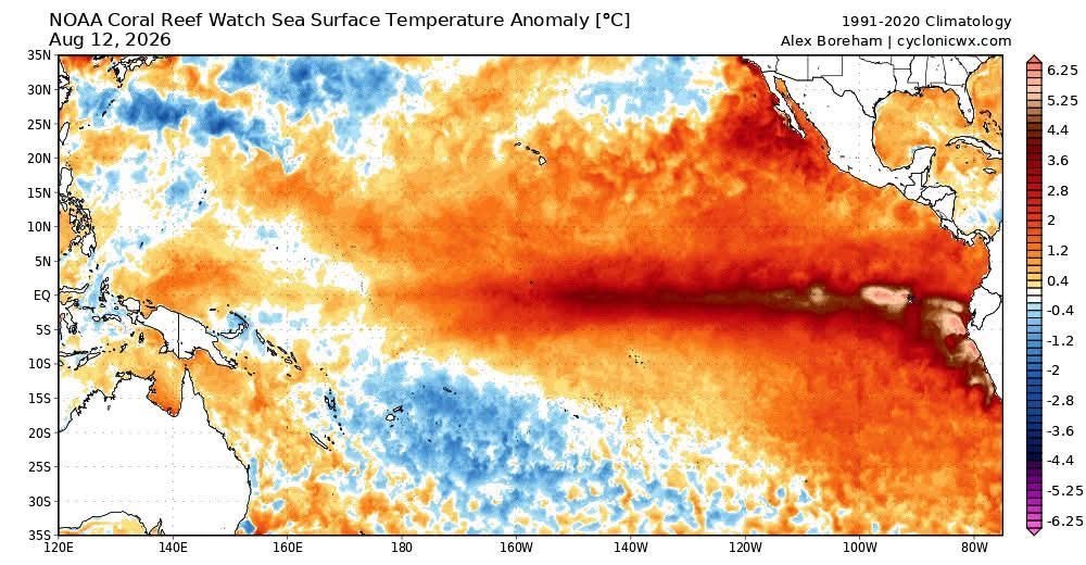 MarGomezH's tweet photo. 🧵 El Niño se intensifica y enciende las alarmas: la NOAA advierte de que podría alcanzar una magnitud histórica.
Hay más de un 90 % de probabilidad de que sea un El Niño MUY FUERTE este otoño e invierno.

Pero ¿qué está ocurriendo realmente en el Pacífico y cómo puede afectar al planeta? 👇🌍
