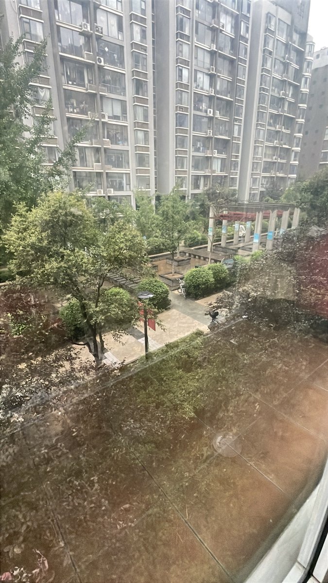 AdelaCassi65508's tweet photo. Just finished 10 mins of urgent work, now hitting the break button hard. Coffee in one hand, eye on the window pigeons – perfect midday vibe. https://t.co/iihseasFDw