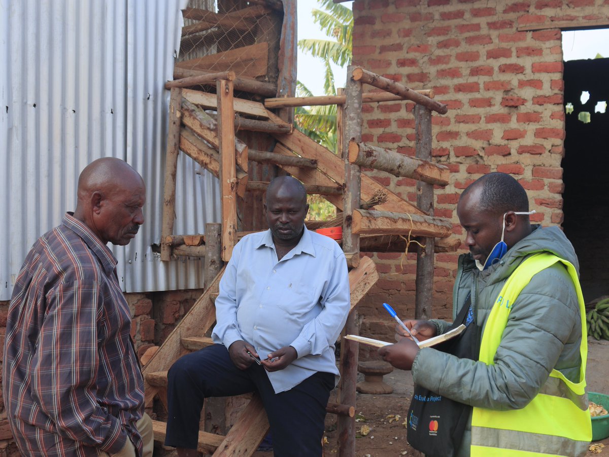 kisoboka_africa's tweet photo. Garagi SCOBA's poultry project is reporting significant progress following an investment from our #SHEconomyproject
We are supporting them with capital and technical support, and making the entire community believe that indeed, KISOBOKA!
#FinancialInclusion https://t.co/2TrtBV6Zxb