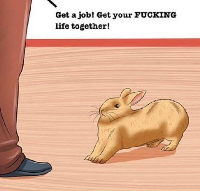 BigBoyBloos's tweet photo. @BunneMilk Do my art https://t.co/8VN9EFAKJf