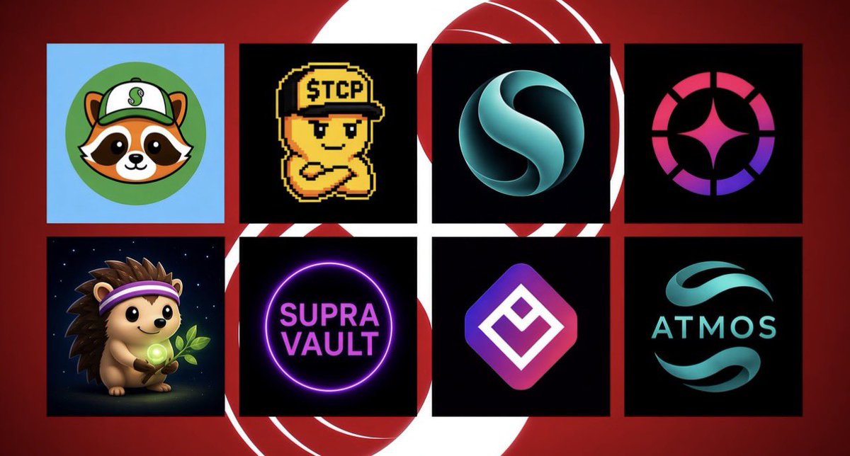 suprabadger's tweet photo. One after another, we’ll be integrating major $Supra projects from $Atmos to @DexlynLabs to @SolidoMoney to @spikeyfun to @The_Crypto_Pill to @supravault to @CrystaraMarkets and @toonswapsupra 🔥

 We deploy liquidity if we can’t integrate them 🟢 
Bit by bit, we’ll get it done✅ https://t.co/WjBjeDAAoV