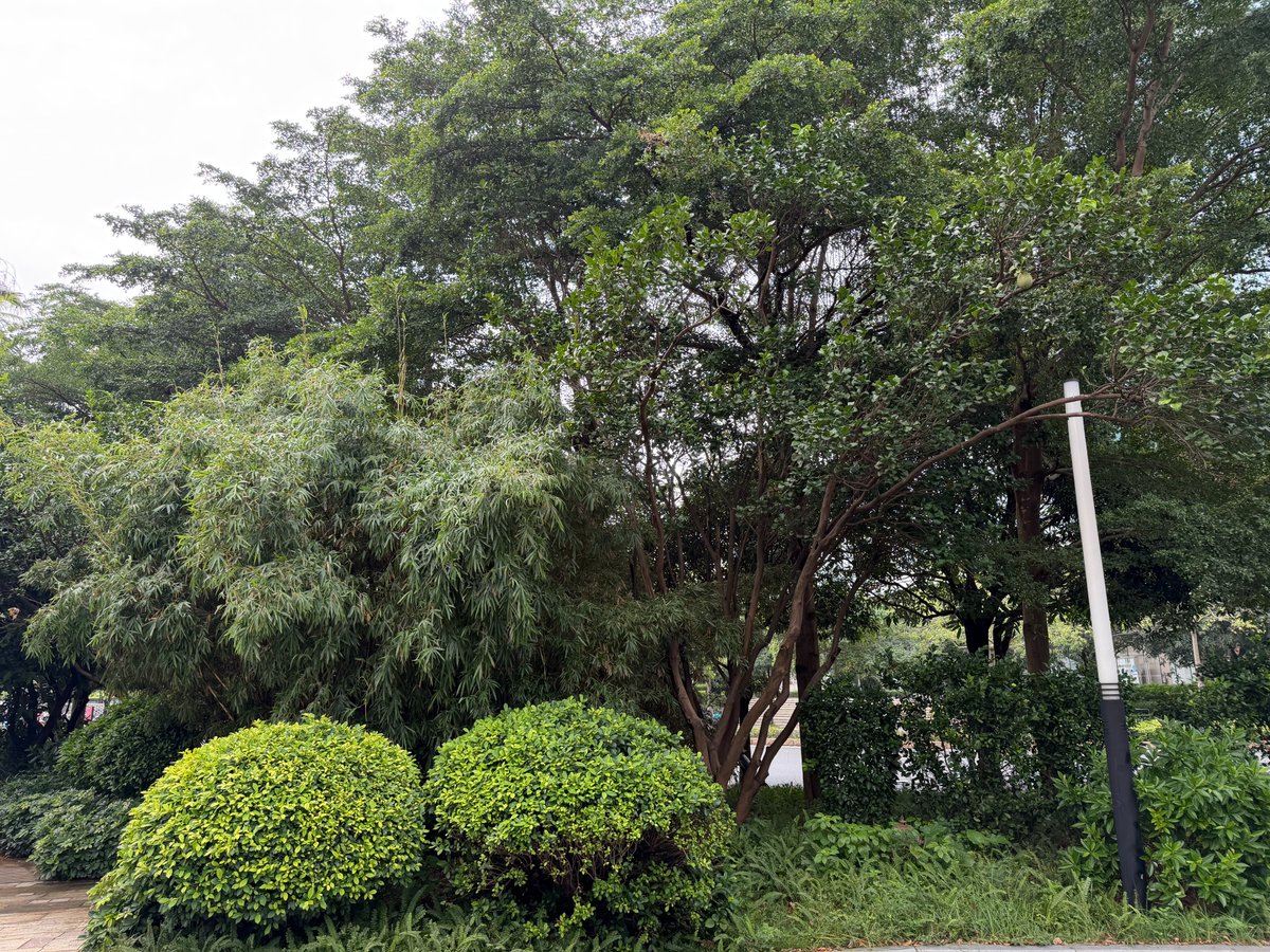 balobui_vic's tweet photo. 呼吸新鲜空气，准备下班了 https://t.co/9jPHT8zUBm