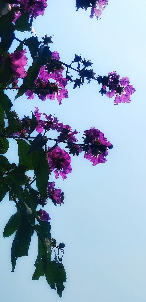GerthaMull24c's tweet photo. Some connections are better discovered naturally. 📍🤽‍♀️
#South Korea #GitHub #Hayden https://t.co/Tt45FkDlx0