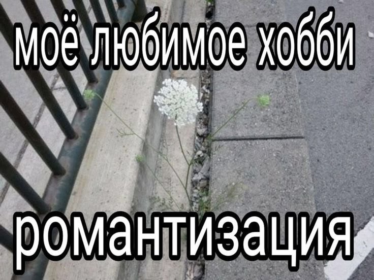 fblissx's tweet photo. На этом выживаю https://t.co/FO6jASYD5n