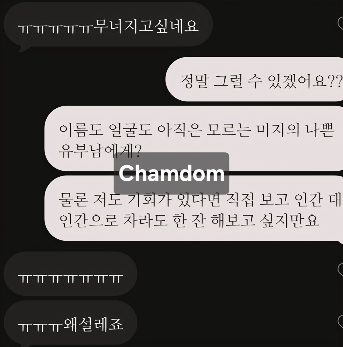 chammmdommm's tweet photo. 2026년에 ��시 써보는
잔인하지만 아름다운 조련일기. https://t.co/nTdA5nejiU