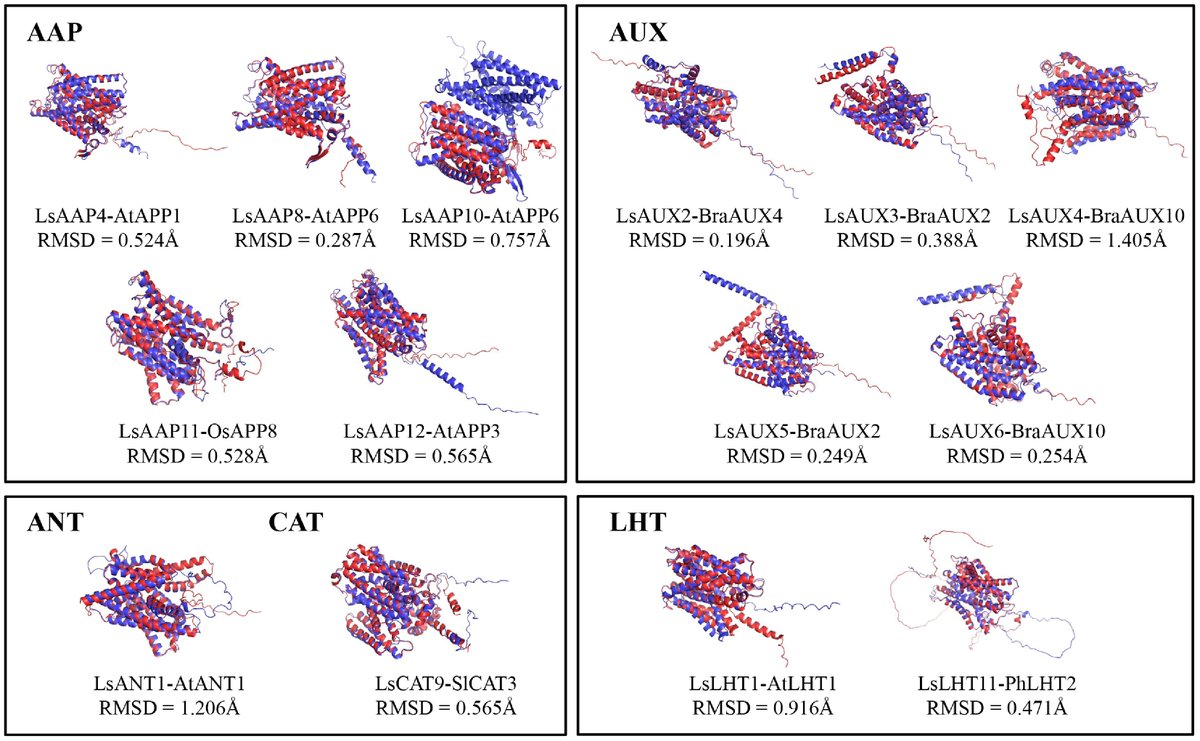 MaximumAcademic's tweet photo. #VegetableRes
102 LsAAT genes identified in lettuce; 40% expanded via duplication; light-regulated members correlate with phenolic content and stress adaptation.
@HortiPlant #AminoAcidTransport #LightRegulation
Details: https://t.co/VPgx7cf4IC https://t.co/5JlRTPmU3C