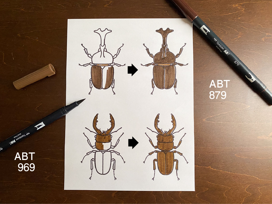 tombowpencil's tweet photo. トンボのWEBメディア「FUN ART STUDIO」新着記事!
「昆虫たちのイラストを描いてみよう!」

イラストレーターの岡本倫幸さんが昆虫イラストの描き方を紹介してくれました✍
夏の思い出の記録や自由研究・工作に役立ちそう！🍉
テンプレートを使って塗り絵感覚で楽しめます😊

https://t.co/tFc1WIyW4C https://t.co/2kKqPQxQbs