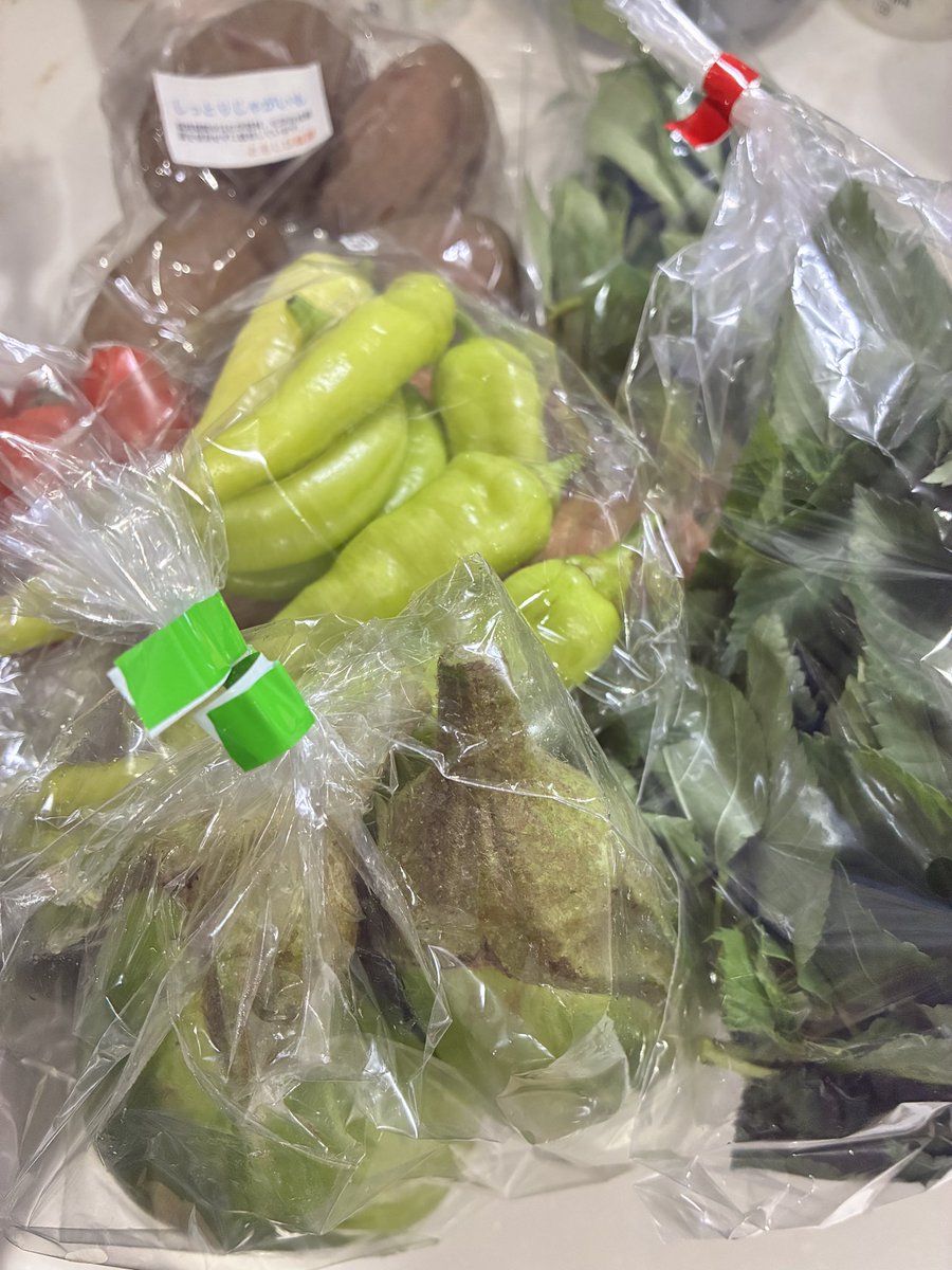 oonattyo's tweet photo. ひっさしぶりに近場の無農薬お野菜を手に入れてニヤニヤしている。
気になるのは2枚目の🍌🫑
ししとうではない。 https://t.co/ILLD5IJQGa