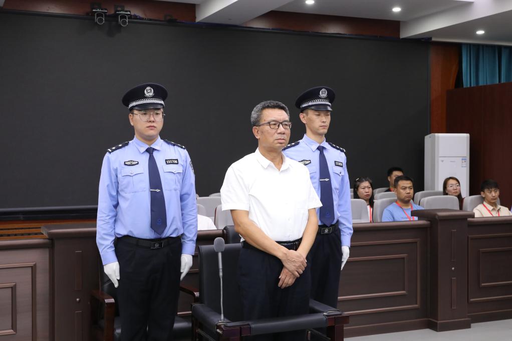 Article 图片