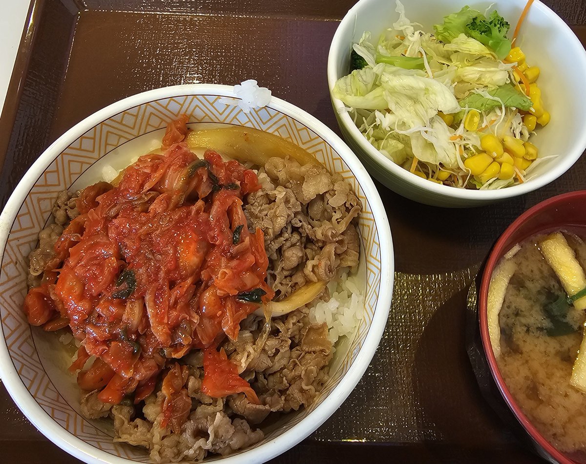 kooktootfoof's tweet photo. 2026年8月2日
すき家さんでランチです。
今日も暑い！
こんな日はキムチが食べたい！🤭

#金沢
#牛丼
#味噌汁
#サラダ https://t.co/TuJU6V5rKl