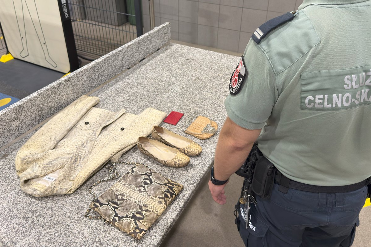 KAS_Rzeszow's tweet photo. 🚨Funkcjonariusze Służby Celno-Skarbowej podczas kontroli na 🇵🇱-🇺🇦przejściach granicznych w Medyce, Krościenku i Malhowicach wykryli przedmioty wykonane ze skór chronionych gatunków zwierząt 🐍.
📌Więcej o zabezpieczonych okazach #CITES 👇https://t.co/34MAsPEnpm https://t.co/O7o9a21Atr