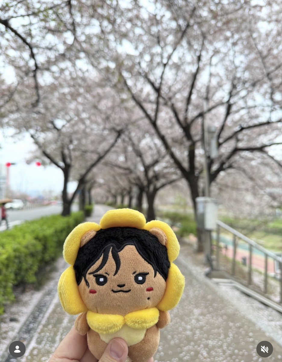elletsrk's tweet photo. wts/ lfb another mmm doll budol! 

Taiwan Pasabuy 
Hwasa “Salion” 10cm Doll 
Php 1000 + pf + lsf 
ETA Sept last week or early October 

dop: 50% dp, 50% onhand
limited slots only! 

dm 💌
photos ctto https://t.co/DJkARtZwsi