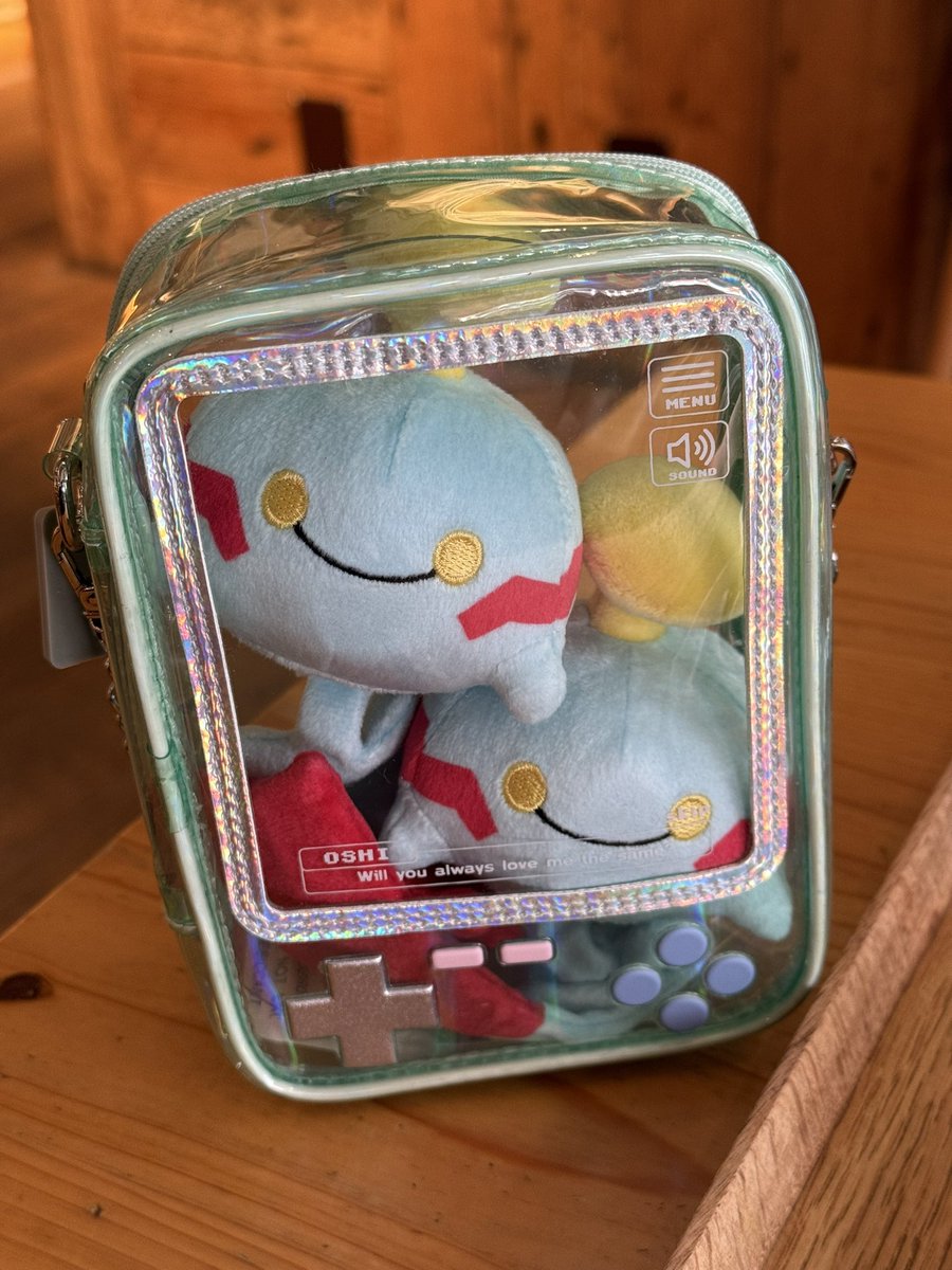 NeoTereko's tweet photo. ぬい活ポーチなるものを手に入れた https://t.co/WDXEVgkYmK