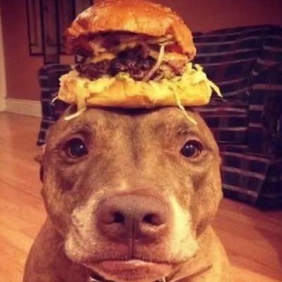 crestedrtrd's tweet photo. #NewProfilePic https://t.co/bUutPPVy5W