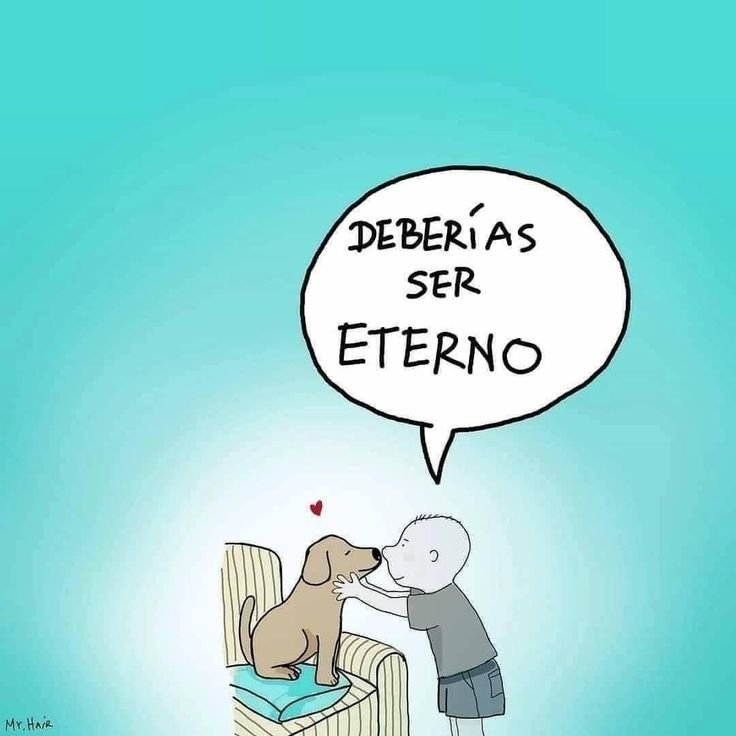 rey_latino33087's tweet photo. https://t.co/Z8j46BhUfU