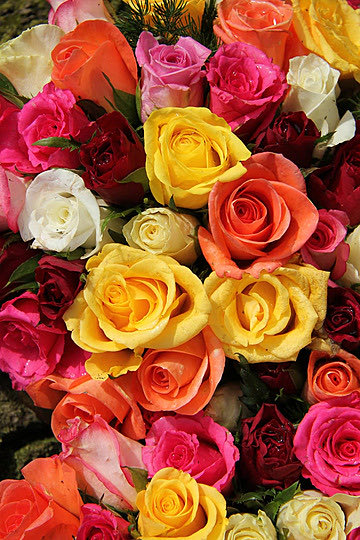 63kuwa's tweet photo. اللهم إنا ولّيناك أمرنا
فنعوذ بك من سوء حظنا ومن فراغ صبرنا
وأجعلنا يا رب ممن نظـرت إليهم فرحمتهم
وسمعت دعاءهم فأجبتهم
وأكتب لنا محو الذنوب وستر العيوب 
ولين القلوب 
وتفريج الكروب 
ونور الدروب. https://t.co/VQD45Ai3WR